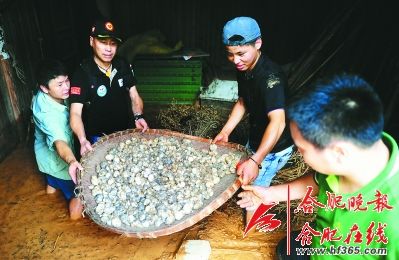 点击浏览下一页
