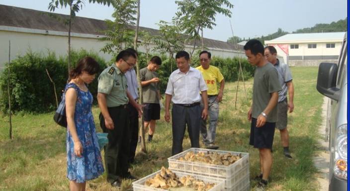 点击浏览下一页