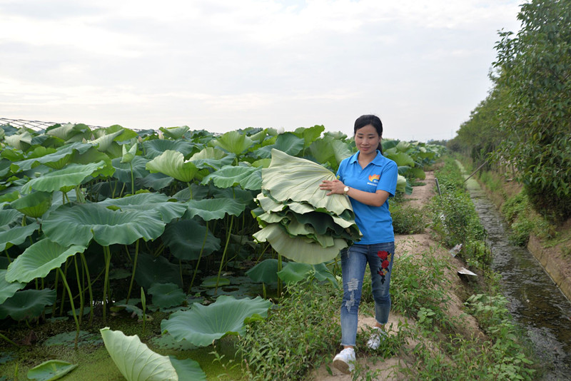 点击浏览下一页