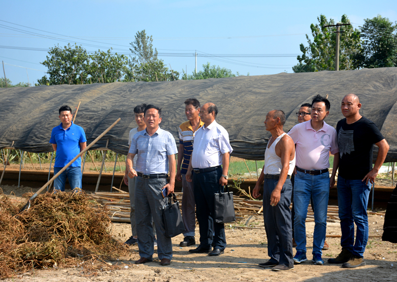 点击浏览下一页